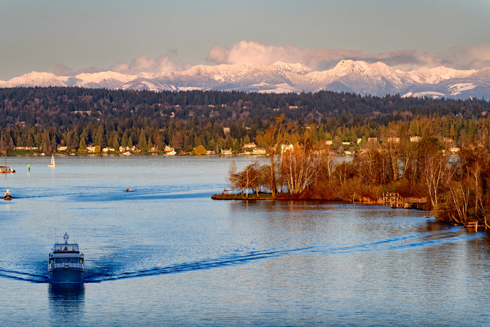 Color photo. Lake Washington is in the foreground, with a boat in the lower left heading towards the camera, it's wake trailing behind it all the way to the shore on the right. In the mid distance a spit of land, covered in bare trees, juts from the right into the lake. Beyond the opposite, tree-lined short, the Cascades are visible, snow-capped. Clouds hover above the peaks, below a blue sky.