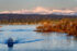 Color photo. Lake Washington is in the foreground, with a boat in the lower left heading towards the camera, it's wake trailing behind it all the way to the shore on the right. In the mid distance a spit of land, covered in bare trees, juts from the right into the lake. Beyond the opposite, tree-lined short, the Cascades are visible, snow-capped. Clouds hover above the peaks, below a blue sky.