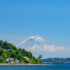 Color photo. In the distance, the C-130 'Fat Albert', of the Blue Angels, flies in front of Mount Rainier. The silhouettes of six of the Angels are also visible to the left of Fat Albert.