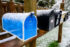 Color photo. A row of mailboxes, receding from the viewer, from left to right. The closest mailbox is pale blue, the others are black or white. All of them are topped with snow.