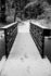 Black & white photograph. A wooden bridge crosses a dark stream, leading to a snowy forest beyond. The bridge is covered in a thin layer of snow, and the footprints of a person and a dog lead across it.