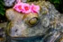 Color photo. A large bronze sculpture of a frog. Someone has placed a row of pink flowers on its head.