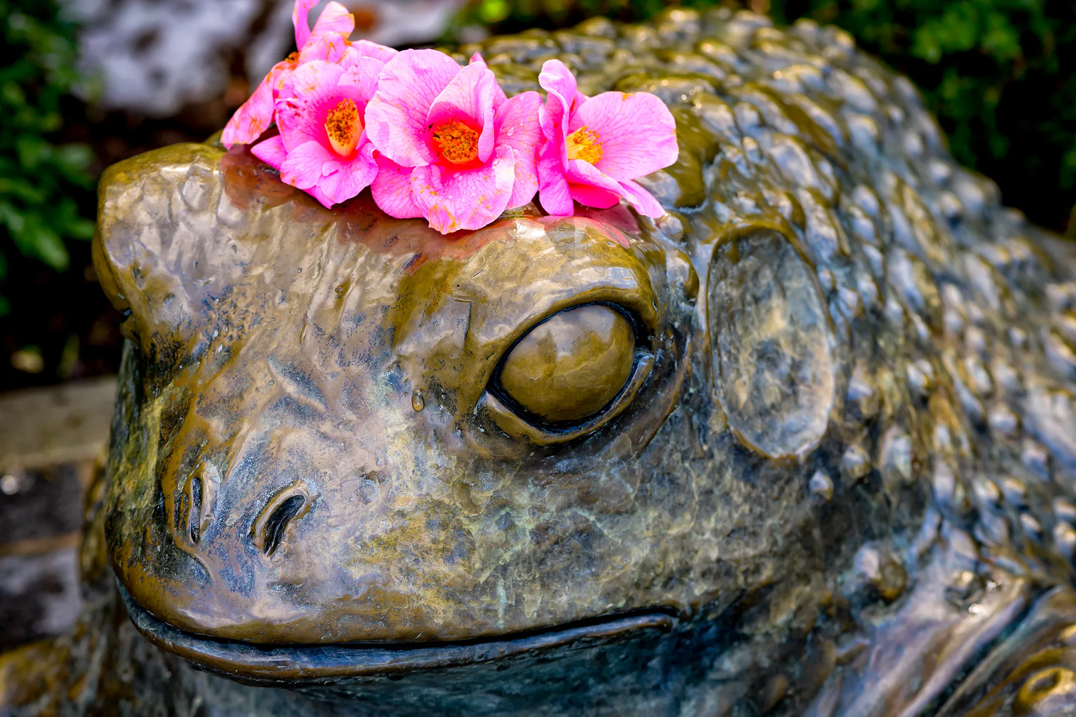 Color photo. A large bronze sculpture of a frog. Someone has placed a row of pink flowers on its head.