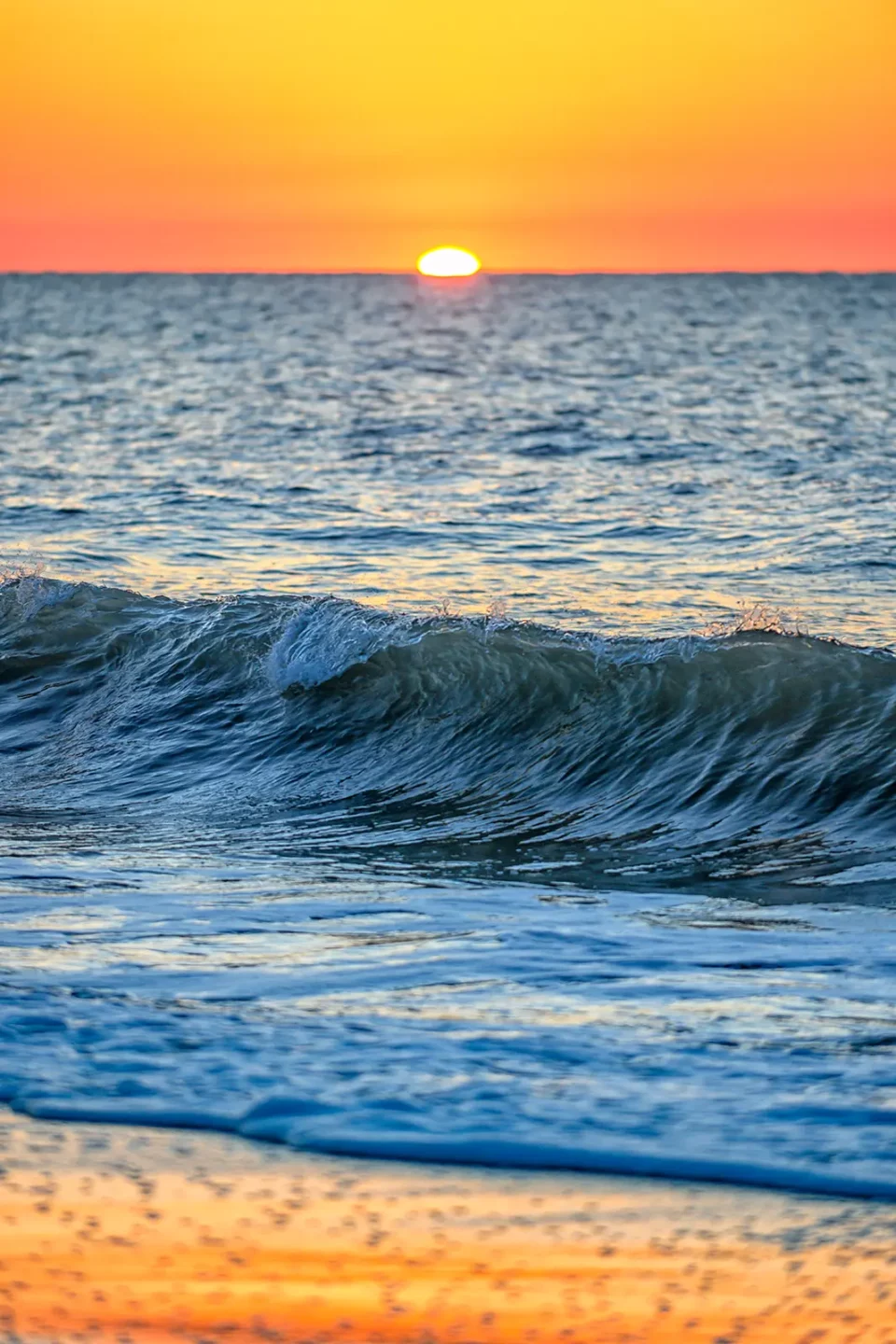 Color photo. The sun, barely risen above the blue ocean, in an orange sky, both blurred by distance. In the foreground, crossing the frame, is a wave beginning to crest, backlit by the sun and glowing a dark emerald. Below it the foam of a prior wave covers wet sand, which is reflecting the orange sky.