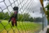 Color photograph. A lone black glove with red trim hangs from a chain link fence. It is in the foreground, on the left of the frame. The fence recedes into the distance to the right of the frame. Behind the fence is a field of green grass, and beyond that a line of trees. The sky is filled with grey clouds, no blue visible.