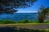 Color photograph. A paved pathway runs along the bottom of the frame. On the far side is a sward of grass and a line of low bushes. The blue-green waters of Puget Sound dominate the middle of the frame, and the Olympic Mountains, capped by fluffy white clouds, are visible on the far side. The branches of a tree extend from off the frame to the left, their shade covering part of the pathway.