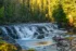 Color photo. A broad creek flows over a rocks in a short waterfall. It is flanked by green pines on either bank, some of which are lit with golden sunlight. The long exposure has rendered the water as milky smooth flow.