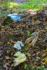 Color photo. Three tiny liquor bottles lying next to each other on the ground. In front of them are wadded up tissues, and beyond them is a bag of chips.