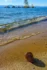 Color photo. The sandy shore of Lake Teton. A large pinecone rests in the sand, casting a shadow in the bright sunlight. A glassy green wave crosses the frame diagonally a few feet away. In the distance, blurred, a line of rocks is in the water, with a pine tree growing from them.