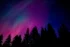 Color photo. The night sky, filled with stars and sheets of red and purple aurora, above a line of silhouetted pines.