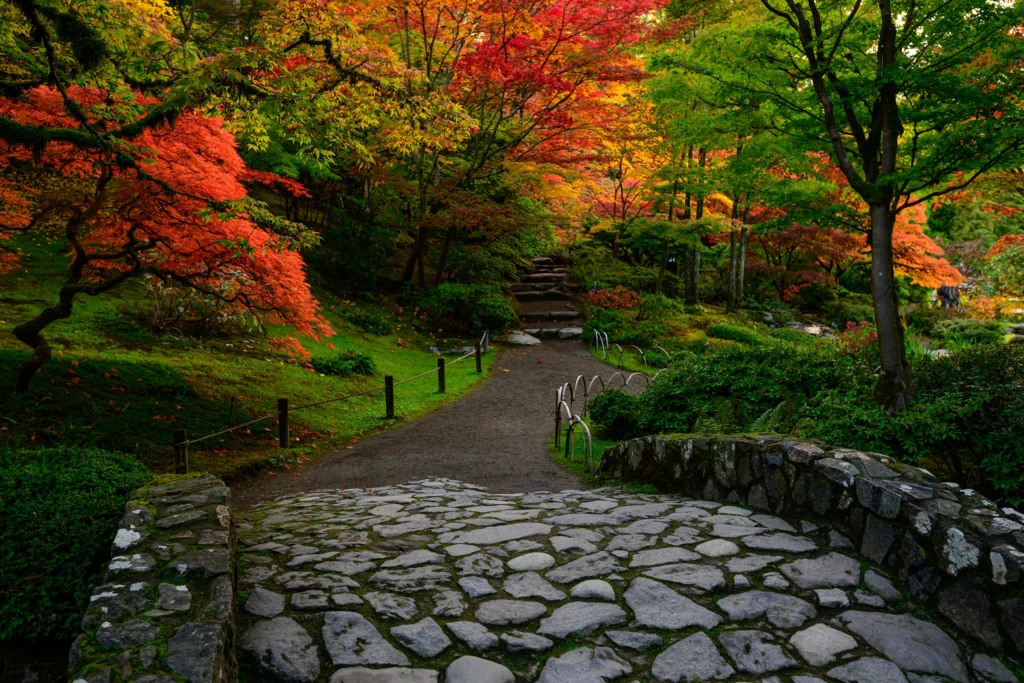 Color photo. A stone bridge leads from the bottom of the frame to a dirt path, which leads to the bottom of a stone staircase. Trees grow beside the path, and over the staircase, in brilliant shades of autumn red, yellow, and orange.