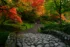 Color photo. A stone bridge leads from the bottom of the frame to a dirt path, which leads to the bottom of a stone staircase. Trees grow beside the path, and over the staircase, in brilliant shades of autumn red, yellow, and orange.