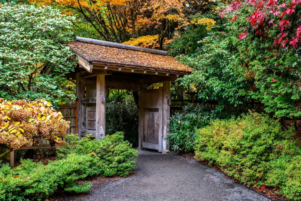 Color photo. A roofed wooden gate, in Japanese style. The roof is covered in fallen leaves. Trees, a mix of green and autumn red and orange, surround the gate. Low green bushes line the gravel path that leads to the gate.