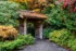 Color photo. A roofed wooden gate, in Japanese style. The roof is covered in fallen leaves. Trees, a mix of green and autumn red and orange, surround the gate. Low green bushes line the gravel path that leads to the gate.