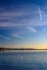 Color photo. A white gull floats in gently rippling lake water at the bottom of the frame. The far lakeshore it tree-lined, and above it juts the peak of Mount Rainier, shadowed on the left, brilliant on the right as it catches light from the setting sun out of frame. Above, the dark sky is full of wispy clouds.