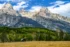 Color photo. The sheer faces of the Grand Tetons rise majestically above a green forested foothill. A small log cabin and wooden fence are at the edge of the forest, in front of a sea of golden grass at the bottom of the photo.