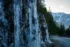 Color photo. On the left long white icicles dripping from rocks beside a road on the right. They almost completely cover the rocks. Just beyond them are more icicles cascading down the rocky slope. Beyond that, the slope is tree lined, and the road curves right and disappears between the trees. In the far background, above the road and trees, are snow covered mountains.