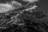 Black and white photo. A closeup of the snow-covered top of Davis Peak, in the North Cascades National Park. The sun is brightly shining on the slopes facing left, while those facing right are in shade. Dark trees and rocks appear through the snow, with most trees at the bottom of the frame. A few puffy white clouds are in the sky above the mountain.