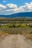 Color photo. A narrow dirt road at the bottom of the frame disappears down a slope. Beyond and below, a field of yellow and green grass. The Snake River crosses the middle of the frame, lined on either side with trees, many of which are going autumn gold. Tree covered hills are on the far side of the river, and the sky is filled with puffy white clouds.