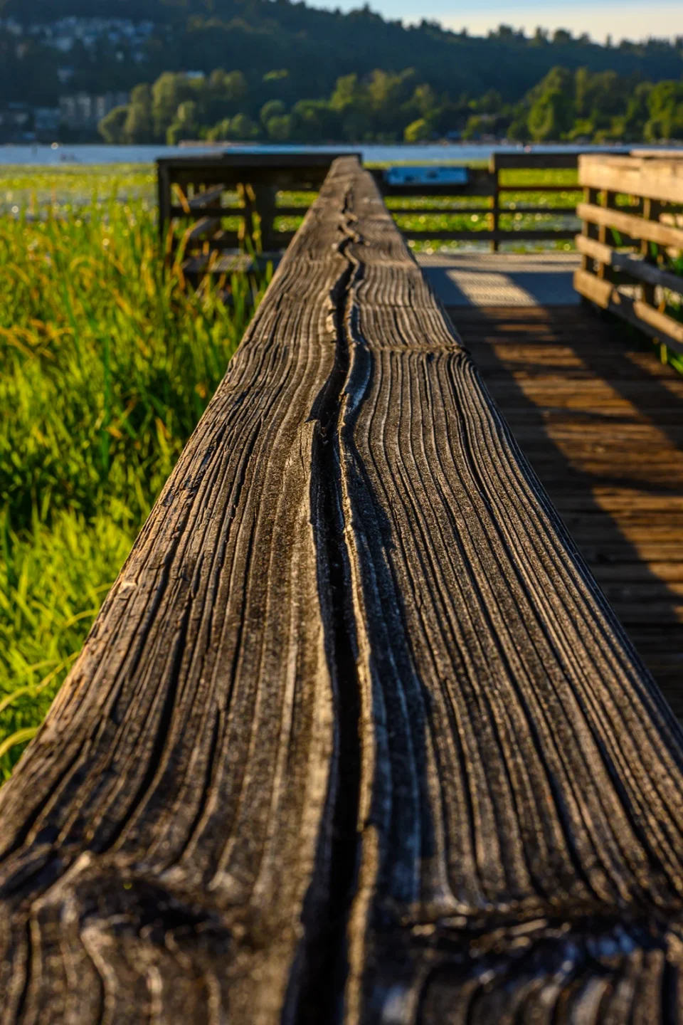 July 21st, 2026: Afternoon Wood