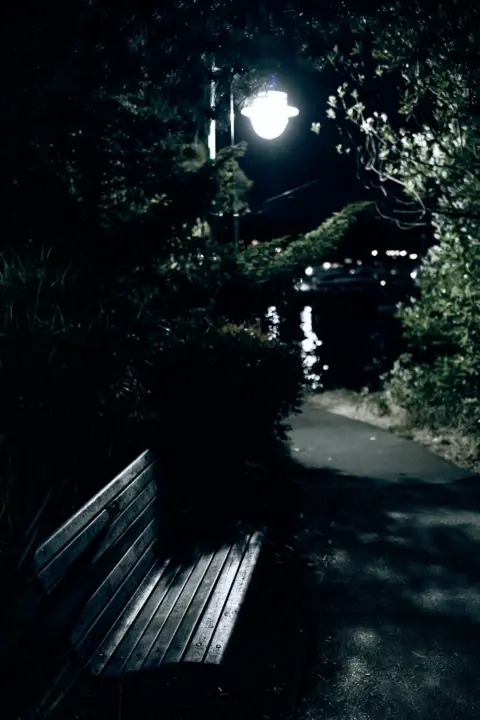 Color photo. A wooden bench next to a paved path. It is night, and there is a bright lamppost visible through a gap in the trees around the bench and path. The bench catches the light, but the trees and ground around it are in deep shadow. The photo is in color, but the colors are muted.