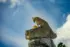 Color photo. A tawny one year old lion cub sits on a rock pile. Its up on its front legs, head lowered, staring intently to the left. The cub and rock pile are framed by a blue sky filled with wispy clouds.
