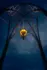 Color photo. The top of a dark archway, with an open lattice at the top. Suspended from the arch's supports is a lamp, glowing golden in the dark. The background is a mottled dark blue and gray.
