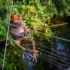 Color photo. A metal frog sculpture, wearing a 'straw hat'. It is in a reclining pose on some wires, and is holding a fishing pole. Below there is water visible, and green plants on the banks.